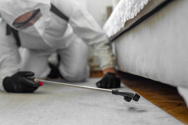 Professional Cockroach Control technician working in Yancey County County, NC